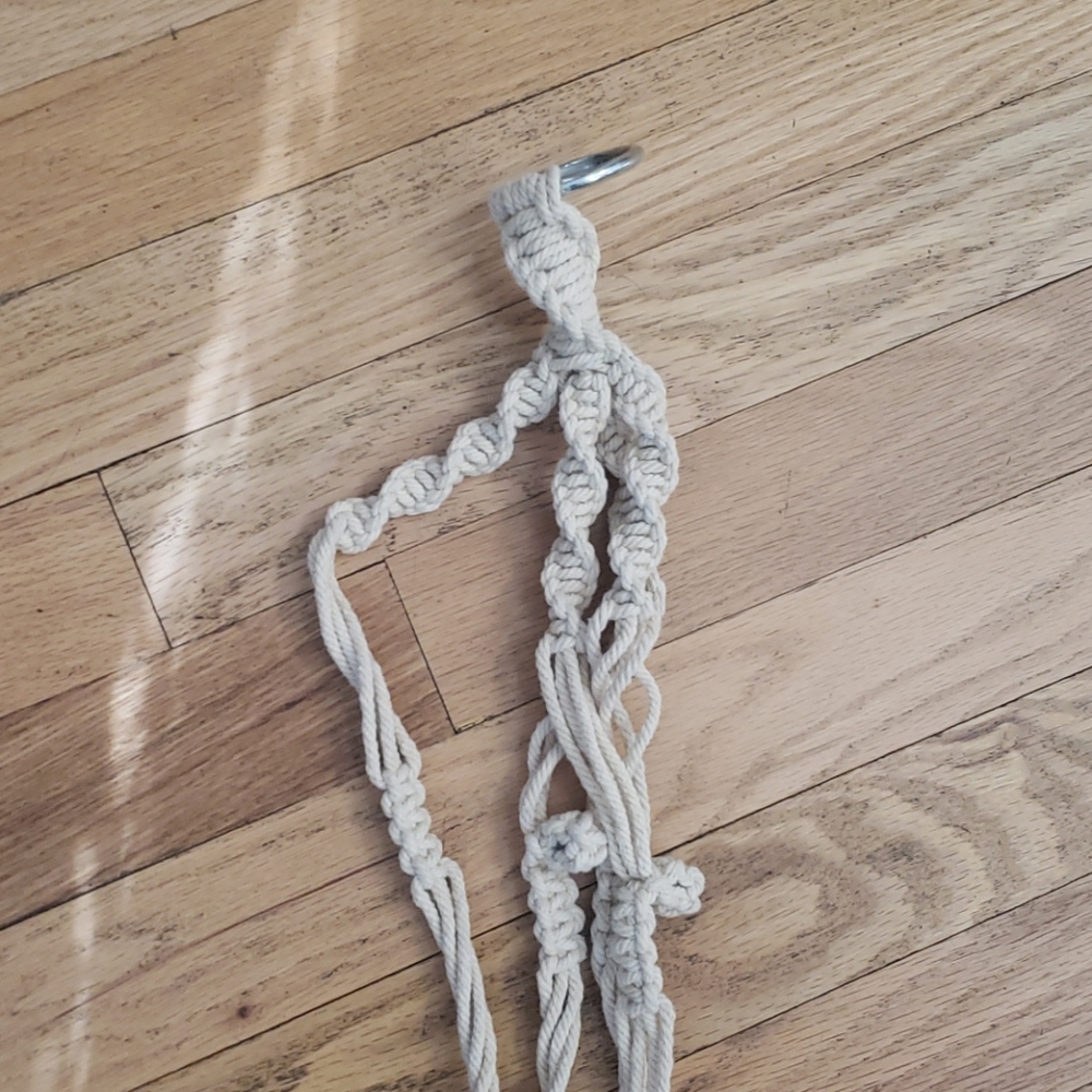 Plant hanger holder